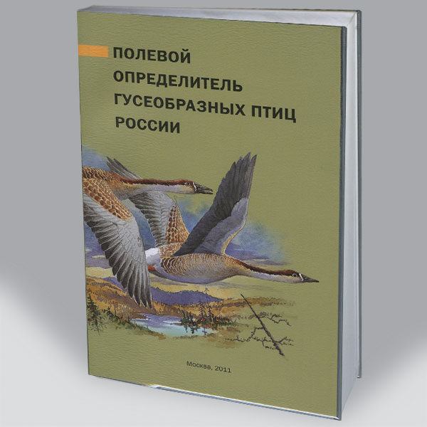 book Отечественная история: Рабочие программы 2003