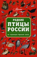 Редкие птицы России