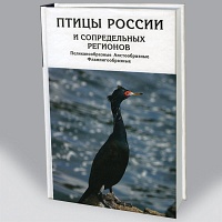 Птицы России и сопредельных регионов: Пеликанообразные, Аистообразные, Фламингообразные 