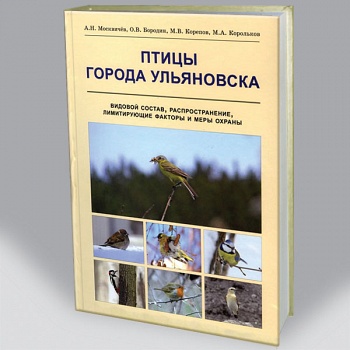 Птицы города Ульяновска